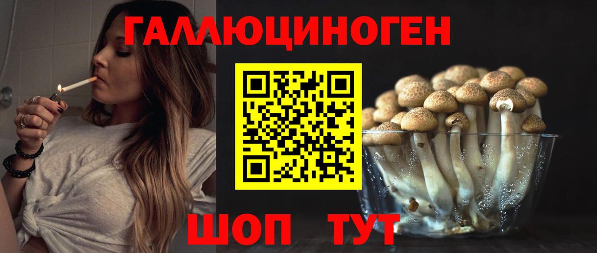 Псилоцибиновые грибы ЛСД  Псилоцибиновые грибы прущие грибы  Дубна  Вход с VPN 